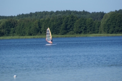 SONY DSC